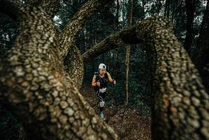 BIB: 
                            <button type="button" onclick="openModal(25700798)" class="btn btn-primary btn-sm float-right btn-popup" data-toggle="modal" data-target=".modal-high-quality">
                        <i class="fas fa-shopping-cart"></i> Add to Cart
                    </button>
                                            <button type="button" onclick="isThisMe(25700798, true)" class="btn btn-success btn-sm float-right btn-popup btn-isme hidden" data-toggle="tooltip" data-placement="bottom" title="นี่คือรูปของคุณใช่ไหม คลิกที่นี่เพื่อเอาเข้าอัลบั้ม">
                        <i class="fas fa-plus"></i> Add to album
                    </button>
                    <button type="button" onclick="isThisMe(25700798, false)" class="btn btn-warning btn-sm float-right btn-popup btn-isnotme hidden">
                        <i class="fas fa-ban"></i> Remove from album
                    </button>